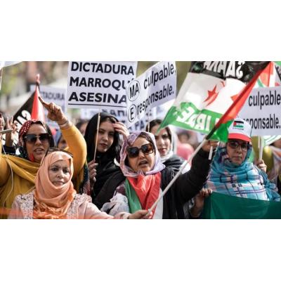Sáhara Occidental: 50 años después