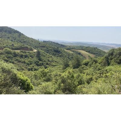 Charla sobre los macroproyectos mineros en Tierra Estella