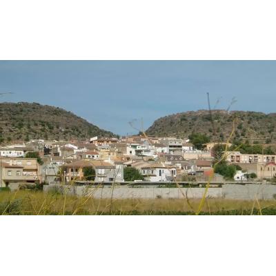 El concejal de Vox en el municipio valenciano de Montserrat entrega su acta tras ser denunciado por maltrato