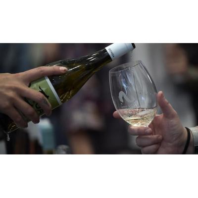 Fotos de la decimotercera edición de Vinofest Navarra