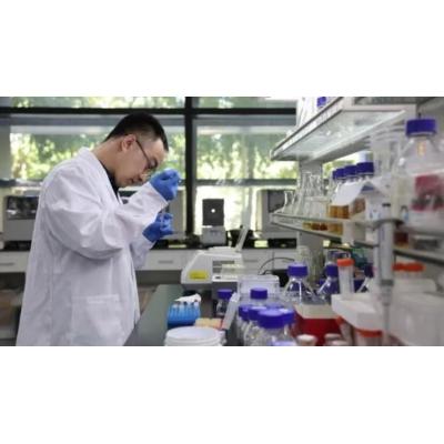 Del "sueño americano" al gigante asiático: China ve regresar a sus científicos emigrados
