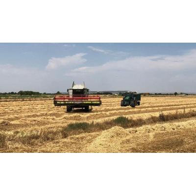 Navarra activa un frente técnico ante la crisis de Irán y su impacto en el campo