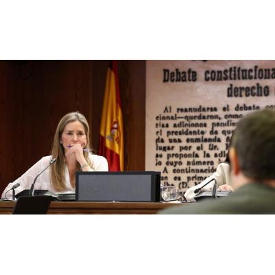 Competencia abre varios expedientes sancionadores por indicios de infracción en el apagón