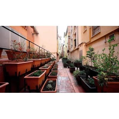 Redescubre los Caños medievales: de conducir residuos a jardines botánicos