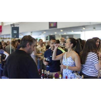 Vinos rosados y público joven: las claves del éxito de Vinofest Navarra 2026