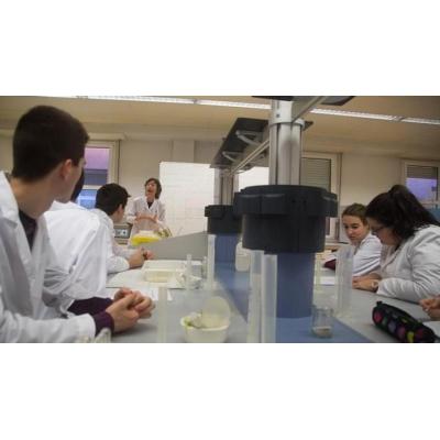 Investigadores de la EHU diseñan una técnica para entender mejor la comunicación celular