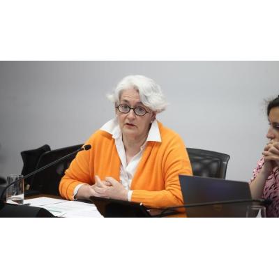 Goicoechea niega haber conocido la UTE de Acciona y Servinabar para Mina Muga y subraya la complejidad de su tramitación