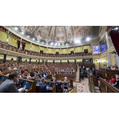El Congreso vota hoy el plan del PP para limitar urgentemente la compraventa de armas blancas