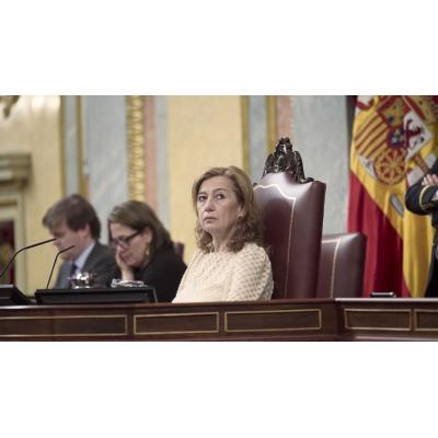 Armengol propone reformar el reglamento del Congreso para evitar incidentes en los plenos