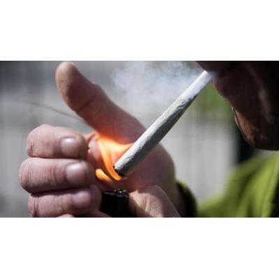 Más de la mitad de la población vasca ha probado el cannabis en alguna ocasión
