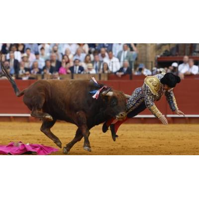 Morante de la Puebla recibe una cornada "muy grave" en Sevilla