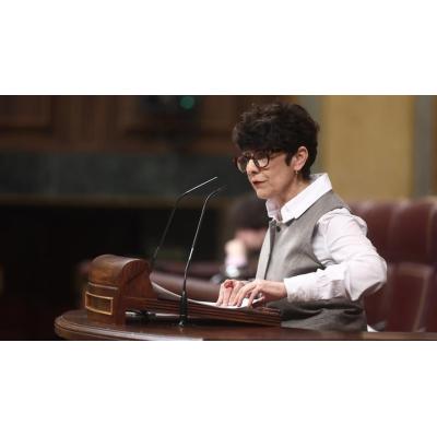 Vaquero interpela en el Congreso al ministro de Política Territorial por los acuerdos suscritos "sobre Nafarroa"