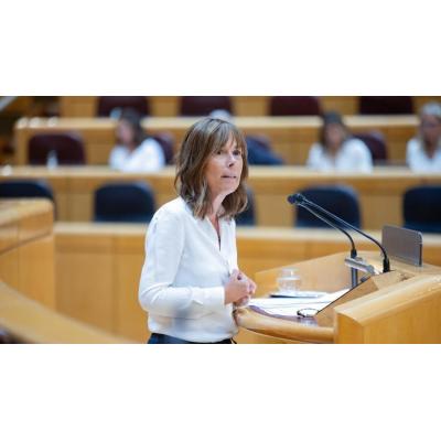 Barkos pide "explicaciones" por "la exclusión del colectivo saharaui" del proceso de regularización migratoria