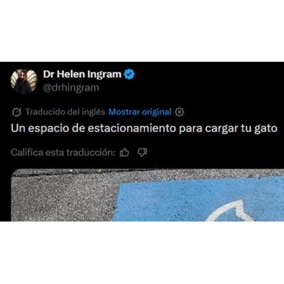 ¿Quieres "cargar" a tu gato? Pues aparca aquí