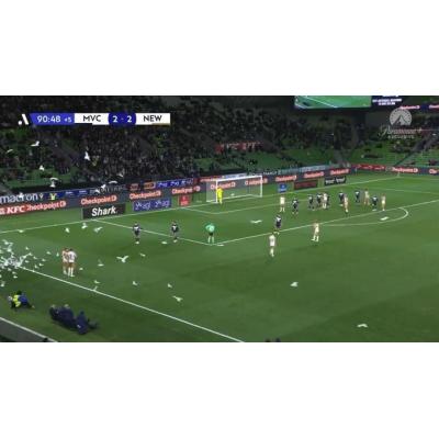 Una invasión de gaviotas provoca el caos en el tiempo añadido de un partido de fútbol