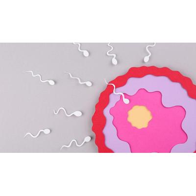 Los expertos coinciden: este es el motivo por el que los hombres tienen más problemas de fertilidad que las mujeres