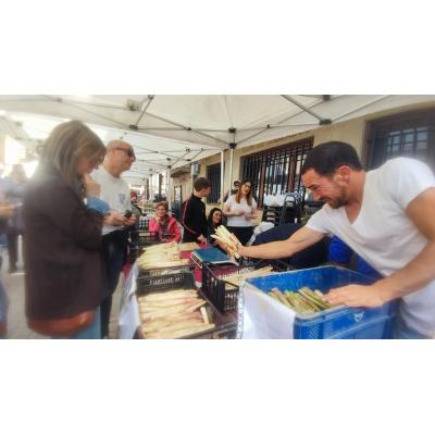 Dicastillo celebra su tradicional Feria del Espárrago de Navarra este domingo