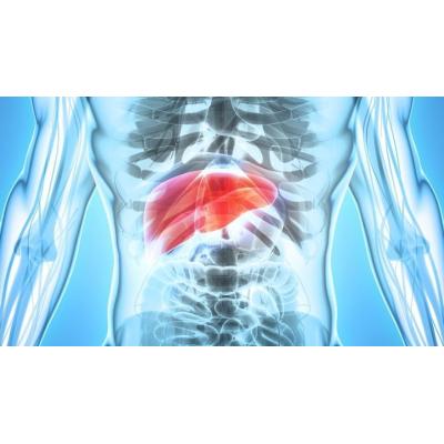 Identifican un mecanismo clave para frenar la progresión del cáncer de hígado