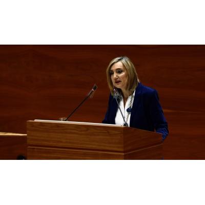 Ibarrola (UPN) discrepa del concepto de "prioridad nacional" de Vox al acceder a la renta garantizada
