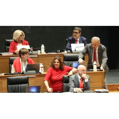 Fotos del pleno del Parlamento de Navarra (jueves 30 de abril de 2026)