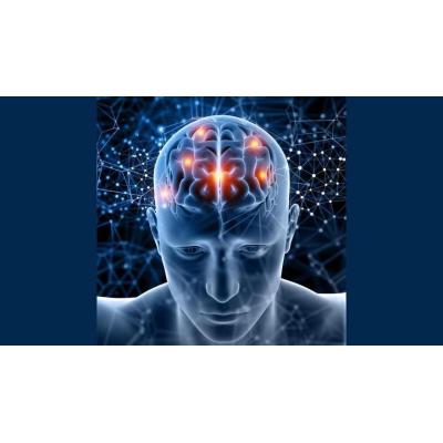 Así puedes estimular tu mente a diario y retrasar el deterioro cognitivo
