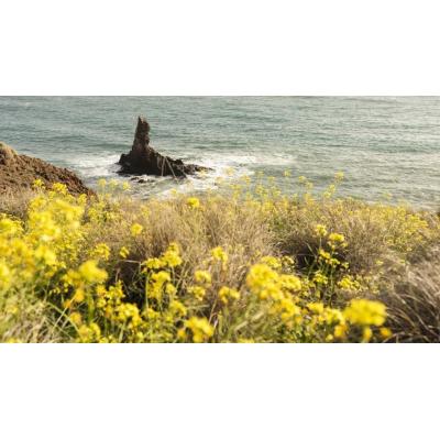 Abril