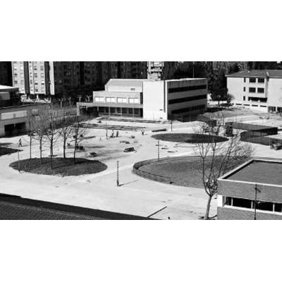 No es vandalismo puntual, es falta de gestión continuada