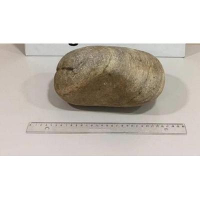 Detenido tras tirar piedras a una comisaría pidiendo que lo detuvieran