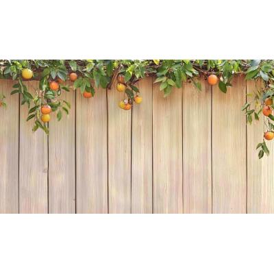 ¿Te puedes quedar con la fruta de un árbol de tu vecino si sus ramas invaden tu jardín?