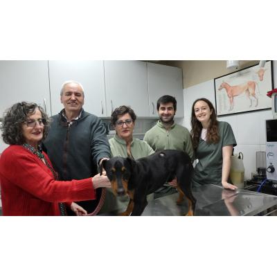 Dos jóvenes de Lesaka toman el relevo en la veterinaria de Santesteban