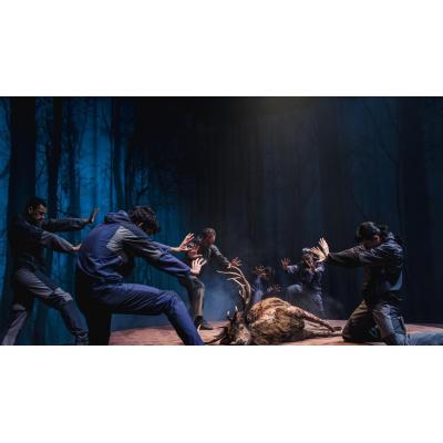 Led Silhouette hace "arder" la danza en su nuevo montaje, 'Ultimátum'