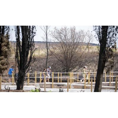 El Gobierno va a solicitar en breve a Parquenasa (Sendaviva) un reintegro por los cuatro contratos de obras cuestionados por la Intervención y que investiga la justicia