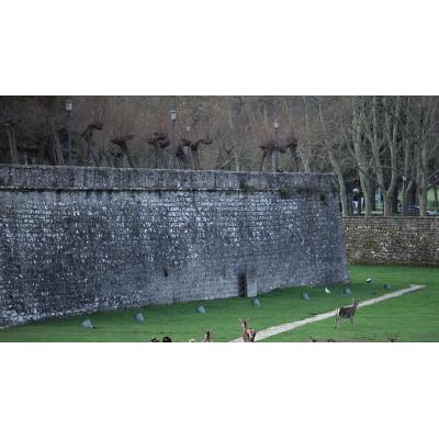Oposición para cubrir tres plazas del puesto de veterinario en Pamplona