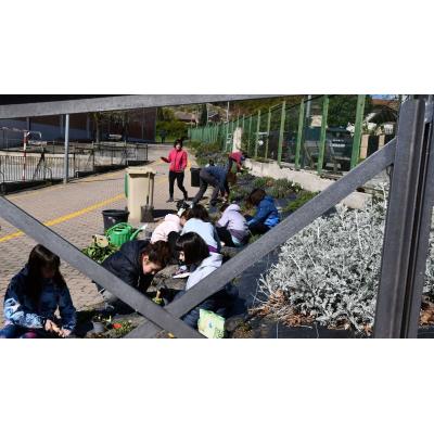 El colegio público de Tafalla avanza en la transformación del patio como espacio abierto