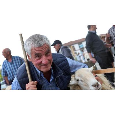 Fotos de la Feria de Primavera de Santesteban