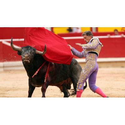 Miura no cerrará la Feria del Toro por primera vez desde 2013