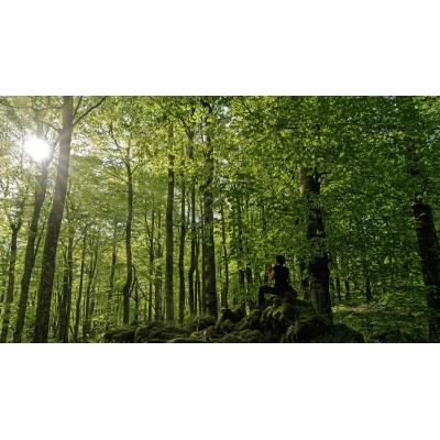 La realidad virtual lleva el bosque a los niños ingresados en el Hospital Universitario de Navarra