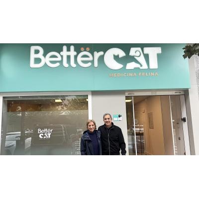 La clínica de Pamplona que solo atiende gatos: "Muchos evitan ir al veterinario por el estrés de sus felinos"