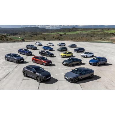 Audi, batallón electrificado: esta será su próxima novedad