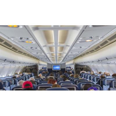 Detienen a un neozelandés por morder a un auxiliar de vuelo y obligar a desviar un avión