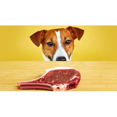 'Fuerza de voluntad' perruna: ¿qué les permite autocontrolarse delante de un bistec?