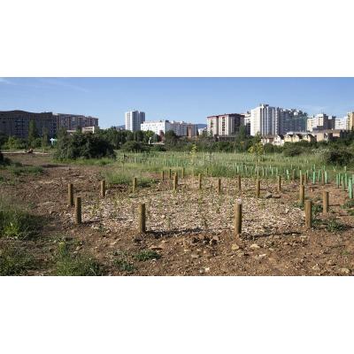 Un solar de un barrio de Pamplona contará con 8.000 árboles más que limpiarán 67 toneladas de CO2 anuales