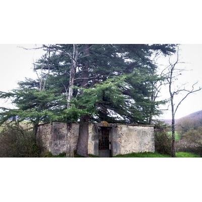 Identificados en Etulain (Anue) los restos de Luis García Lago, vigués fugado del fuerte de San Cristóbal en 1938