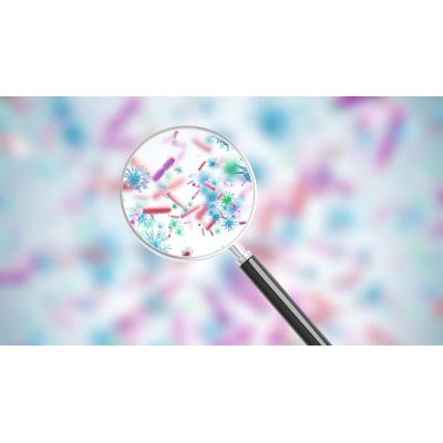 Hallan el punto débil de una de las 15 bacterias más peligrosas para la salud humana