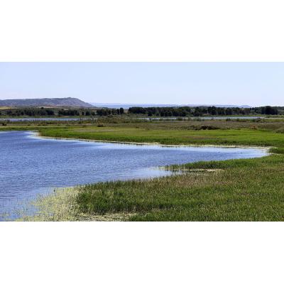 La primavera lluviosa vuelve a dejar una laguna de Pitillas llena