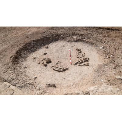 Sitúan en Toledo una necrópolis de 6.000 años, la más antigua del interior de la Península