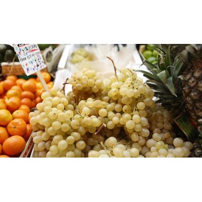 El consumo de uvas favorece una mejor salud de la piel, según un estudio