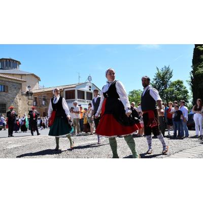 Fotos del día de la patrona en Estella
