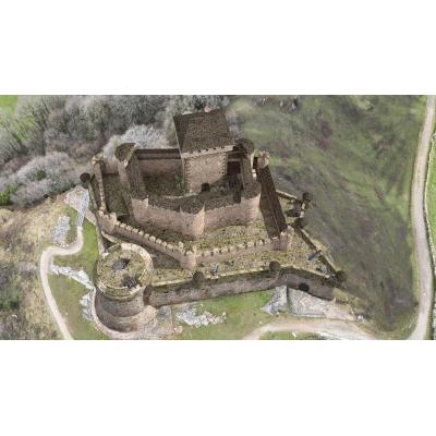 Pedro de Navarra y de la Cueva, el último legitimista (VIII)
