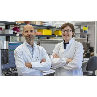 Un estudio molecular del Cima Universidad de Navarra descarta el papel de células inmaduras en la resistencia al tratamiento oncológico